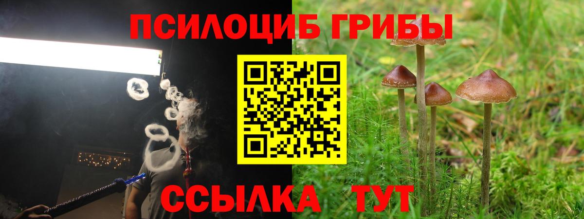 Псилоцибиновые грибы GOLDEN TEACHER  Вход с VPN  Галлюциногенные грибы GOLDEN TEACHER  Нефтекамск 